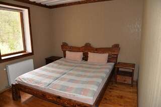 Мотели Syni Potoky Свалява Двухместный номер с 1 кроватью-7